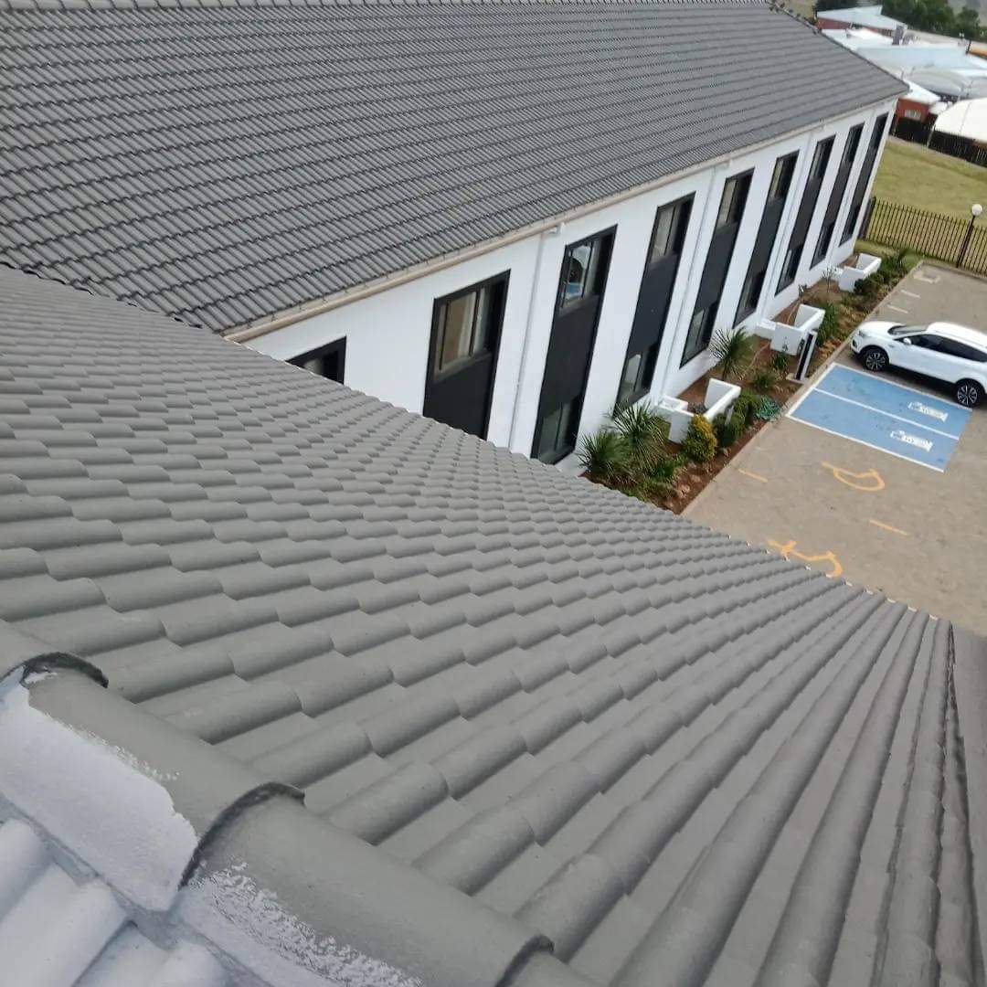 Roof Painting